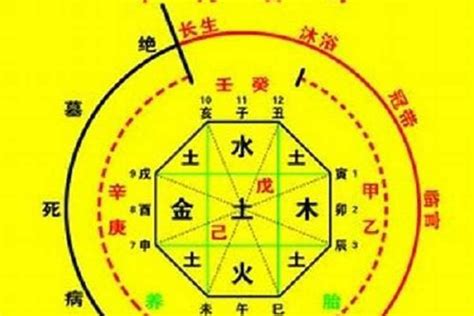 金輿 八字|八字神煞解析——金輿